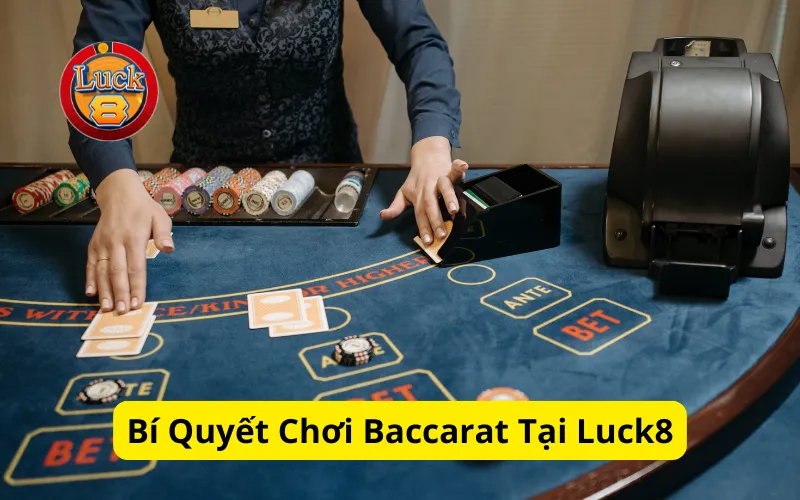 Bí Quyết Chơi Baccarat Tại Luck8