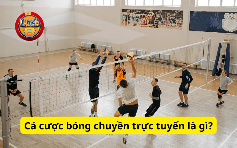 Cá cược bóng chuyền trực tuyến là gì?