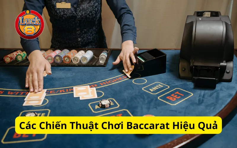 Các Chiến Thuật Chơi Baccarat Hiệu Quả