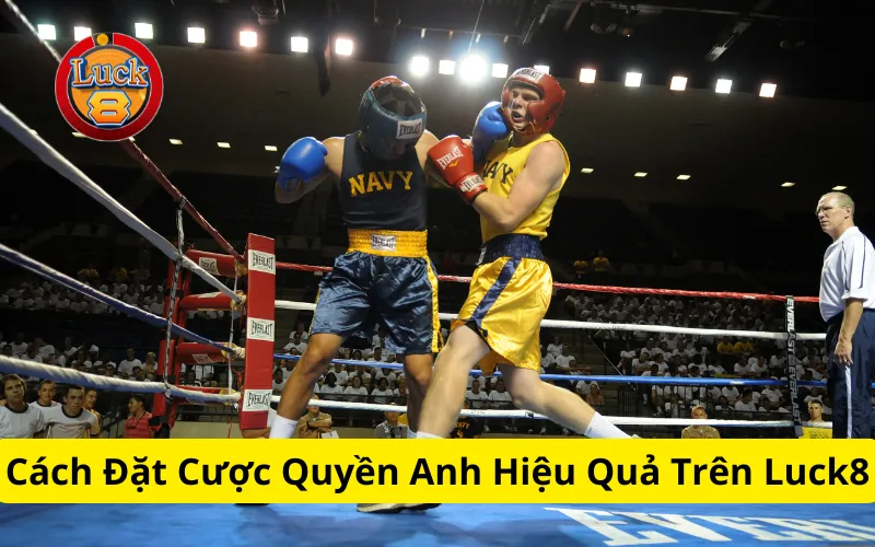 Cách Đặt Cược Quyền Anh Hiệu Quả Trên Luck8