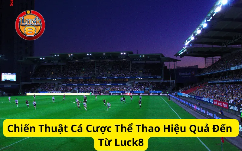 Chiến Thuật Cá Cược Thể Thao Hiệu Quả Đến Từ Luck8