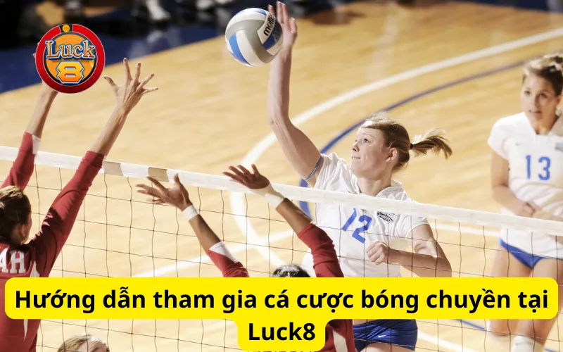 Hướng dẫn tham gia cá cược bóng chuyền tại Luck8