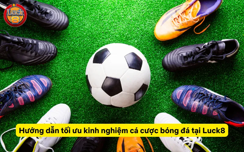 Hướng dẫn tối ưu kinh nghiệm cá cược bóng đá tại Luck8