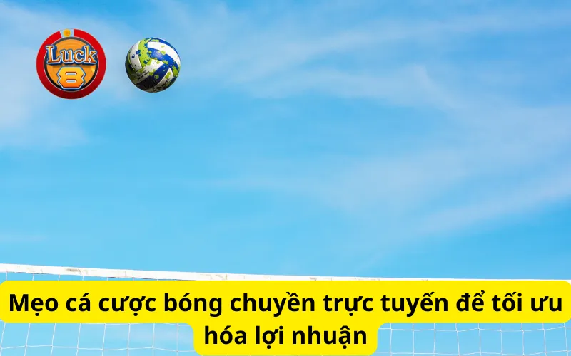 Mẹo cá cược bóng chuyền trực tuyến để tối ưu hóa lợi nhuận