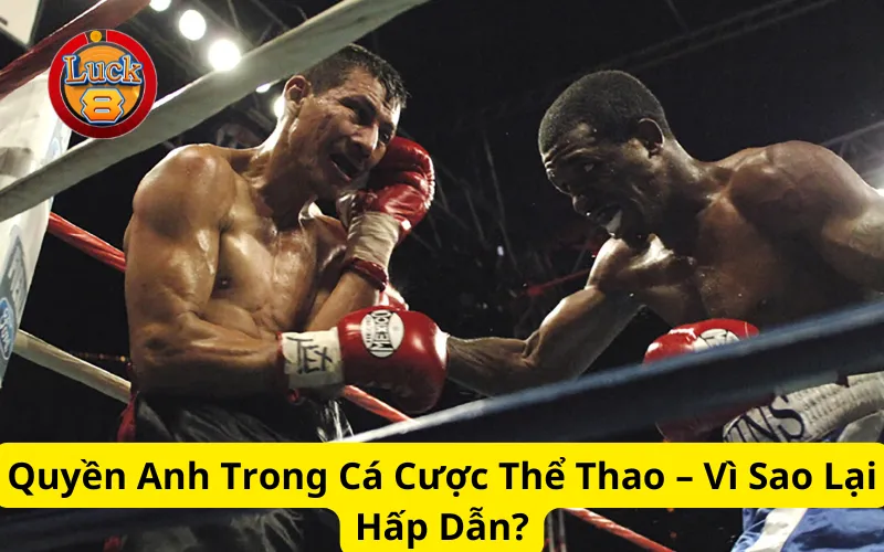 Quyền Anh Trong Cá Cược Thể Thao – Vì Sao Lại Hấp Dẫn?