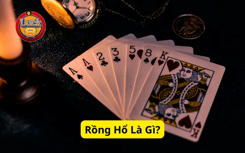 Rồng Hổ Là Gì?