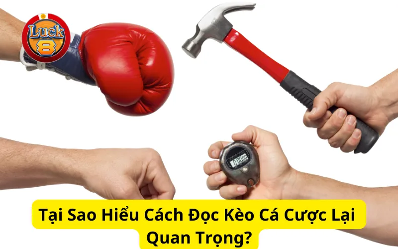 Tại Sao Hiểu Cách Đọc Kèo Cá Cược Lại Quan Trọng?