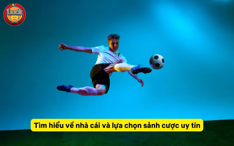 Tìm hiểu về nhà cái và lựa chọn sảnh cược uy tín